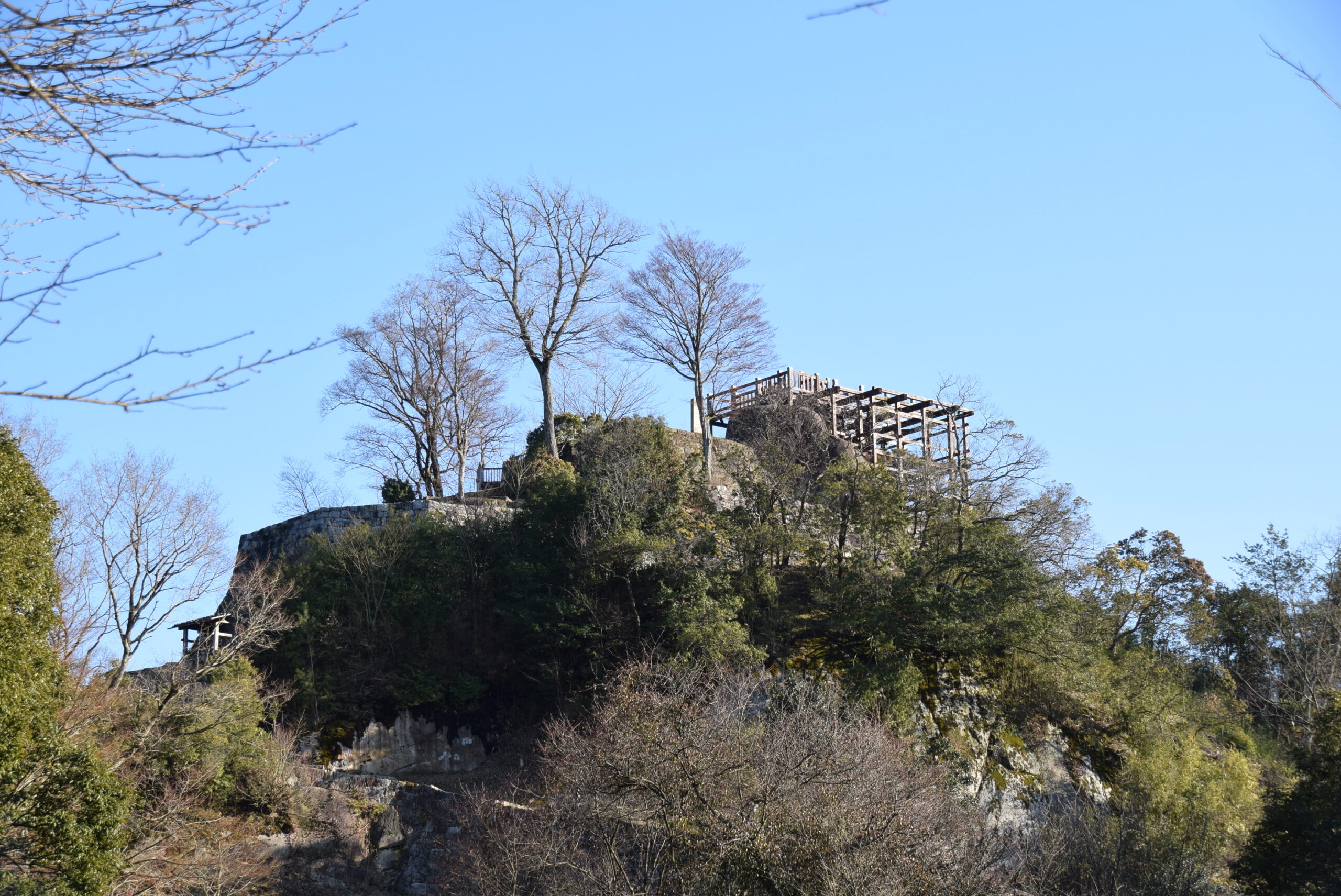 苗木城址築城500年